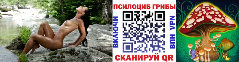 Галлюциногенные грибы MAGIC MUSHROOMS  Минусинск 