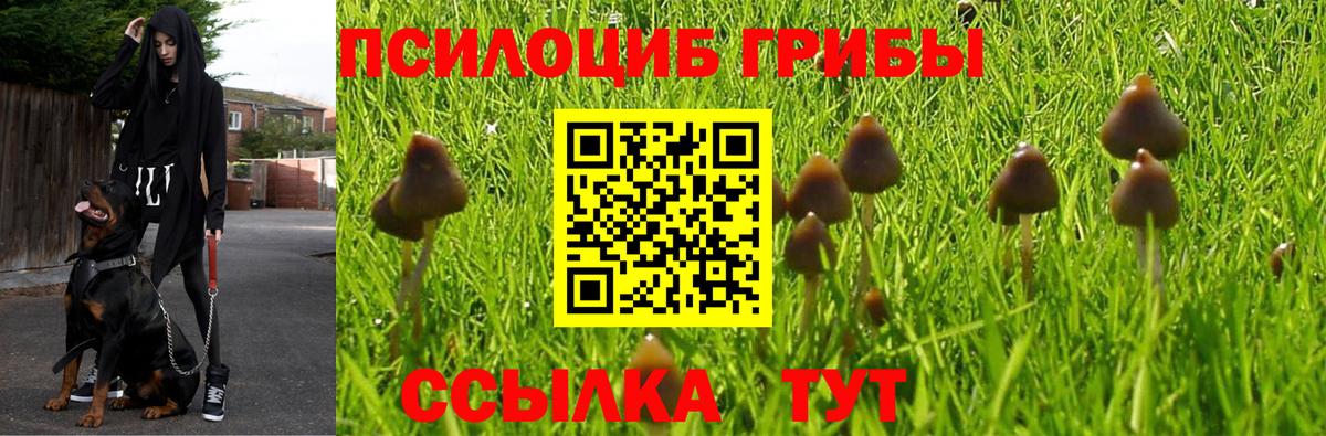 Галлюциногенные грибы прущие грибы Минусинск
