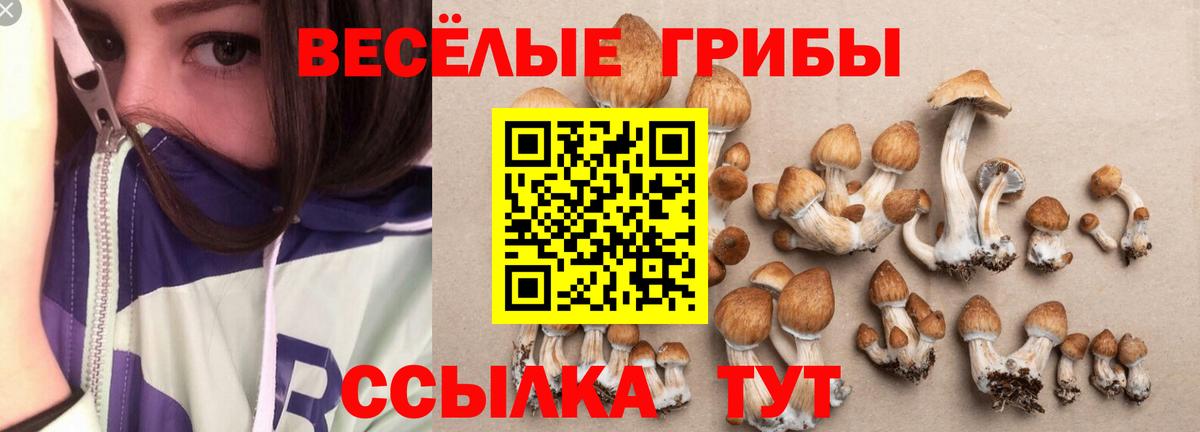 Минусинск  Галлюциногенные грибы Magic Shrooms  Псилоцибиновые грибы прущие грибы  Вход с VPN 